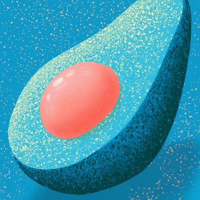 Illustration of an avocado