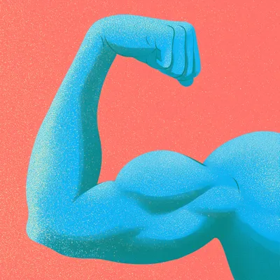 Illustration of a flexed bicep